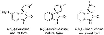 Enantioselective Synthesis of (+)-Coerulescine by a Phase-Transfer Catalytic Allylation of Diphenylmethyl tert-Butyl α-(2-Nitrophenyl)Malonate